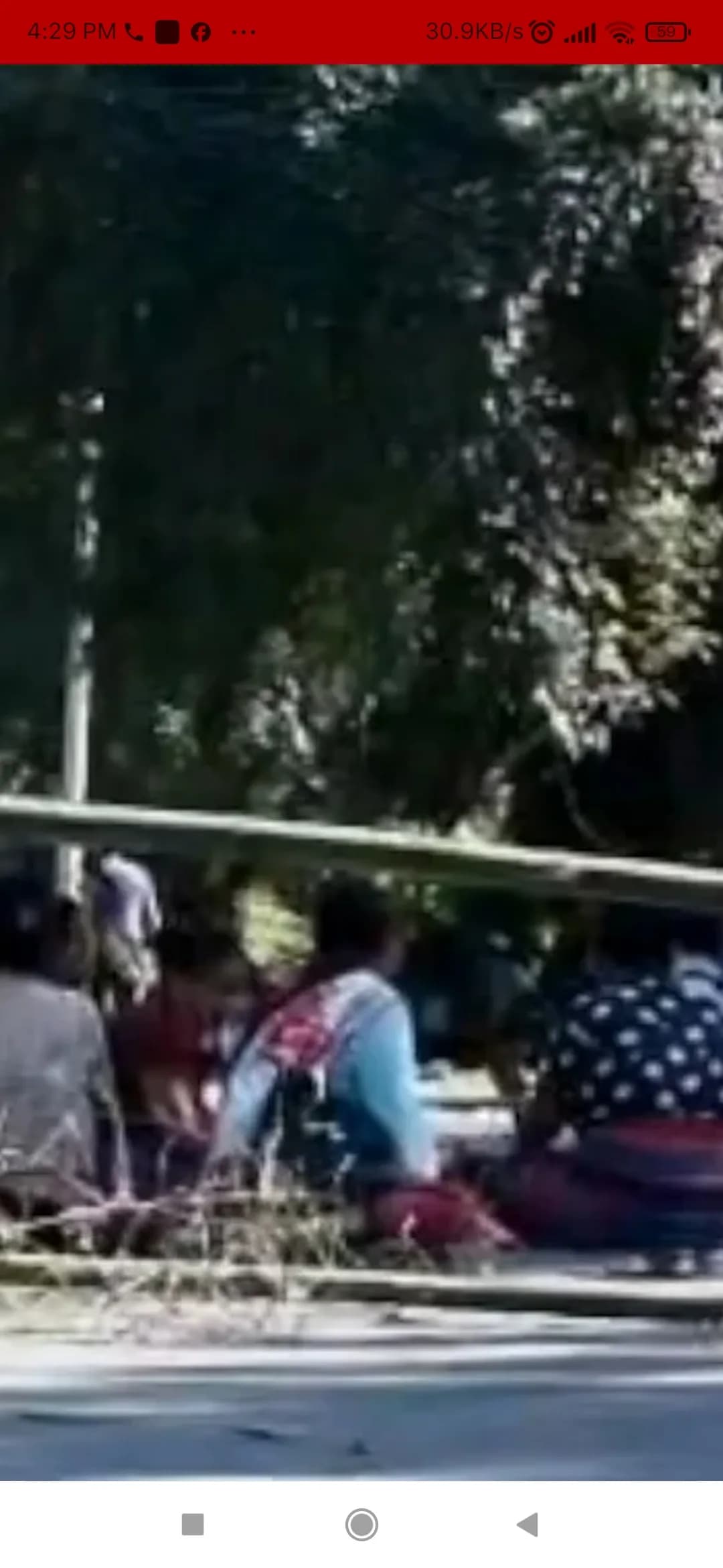 لوگوں کا ایک گروپ باہر بیٹھا ہے، جس میں درخت اور پودے پس منظر میں ہیں۔