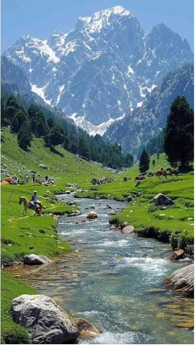 سردیوں میں سونہ مرگ تک رسائی، سیاحت کے فروغ کی جانب اہم قدم: عمر عبداللہ سردیوں کے موسم میں سونہ مرگ تک سیاحوں کی رسائی کو یقینی بنانا سیاحت کے فروغ، مقامی معیشت کی بہتری اور روزگار کے نئے مواقع پیدا کرنے کے لیے اہمیت رکھتا ہے۔ عمر عبداللہ کے اس مؤقف کے مطابق، سونہ مرگ جیسے خوبصورت سیاحتی مقام کو س