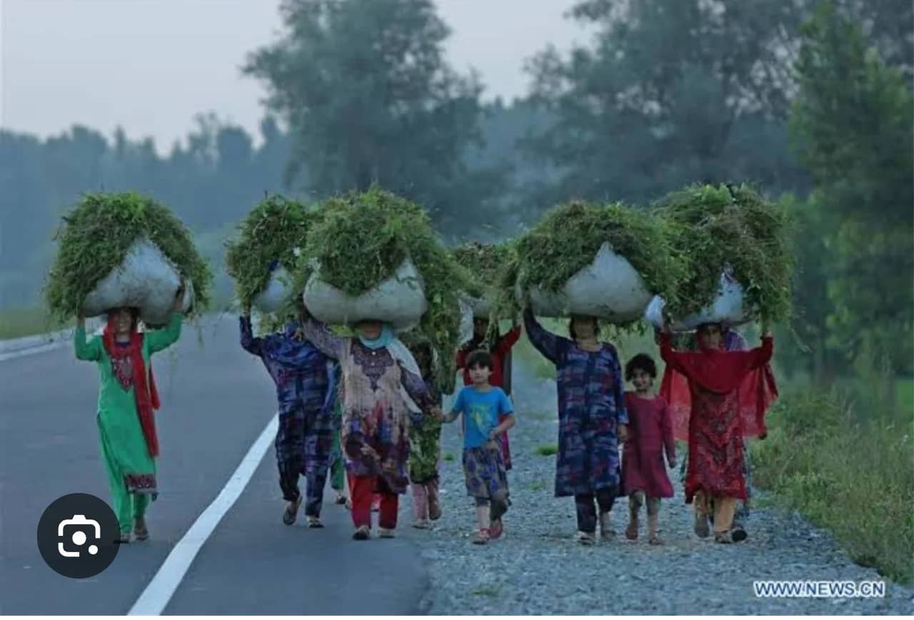 سرینگر میں دیہی خواتین کا عالمی دن منایا گیا سرینگر: وادیٔ کشمیر کے گرمائی دارالحکومت سرینگر میں دیہی خواتین کے عالمی دن کے موقع پر ایک تقریب منعقد کی گئی۔ اس موقع پر دیہی خواتین کی سماجی، معاشی اور ترقیاتی شعبوں میں خدمات کو اجاگر کیا گیا۔ تقریب میں دیہی خواتین کی اہمیت پر روشنی ڈالتے ہوئے کہا گی