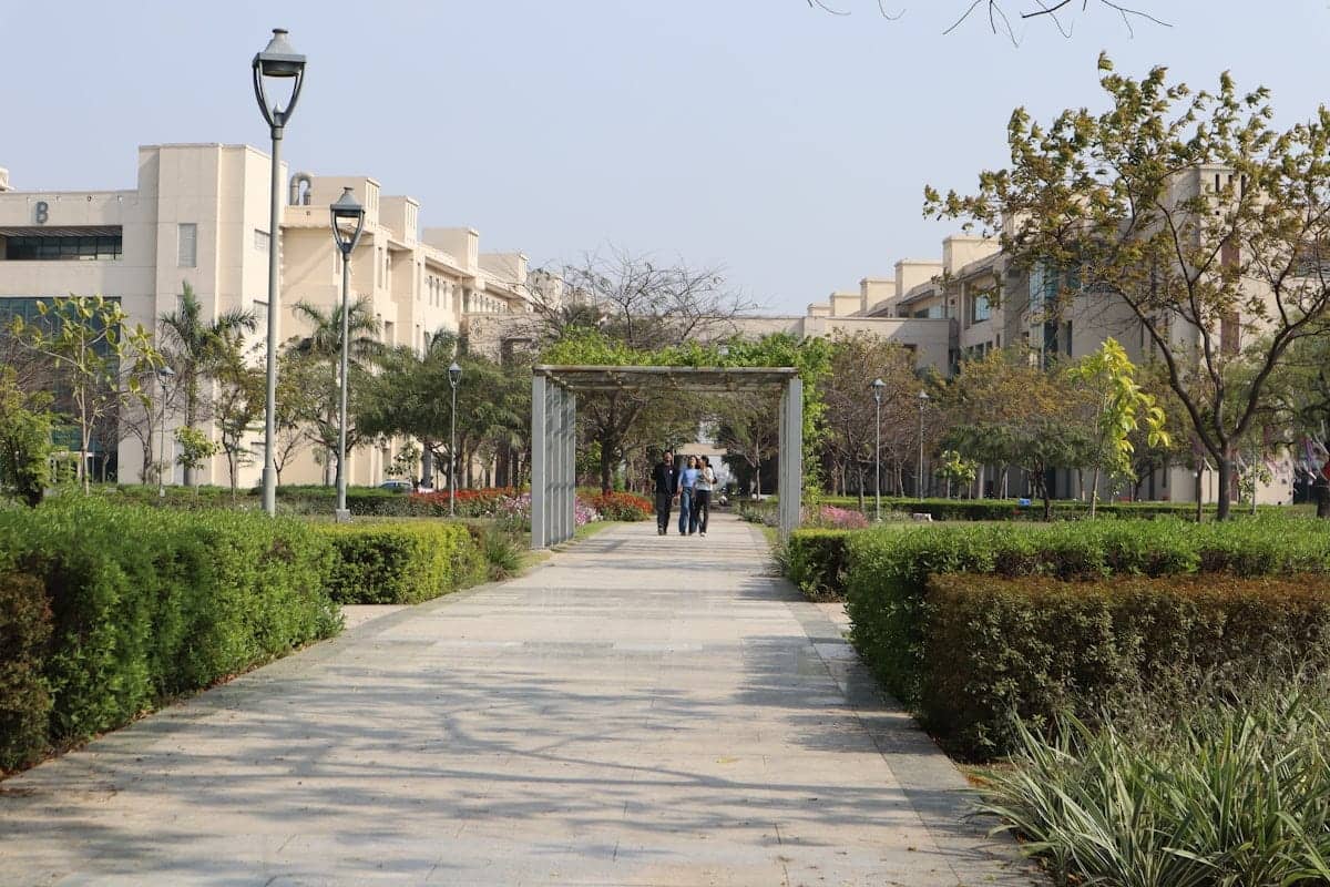 کالج کے احاطے میں پختہ راستہ اور دونوں جانب عمارتیں