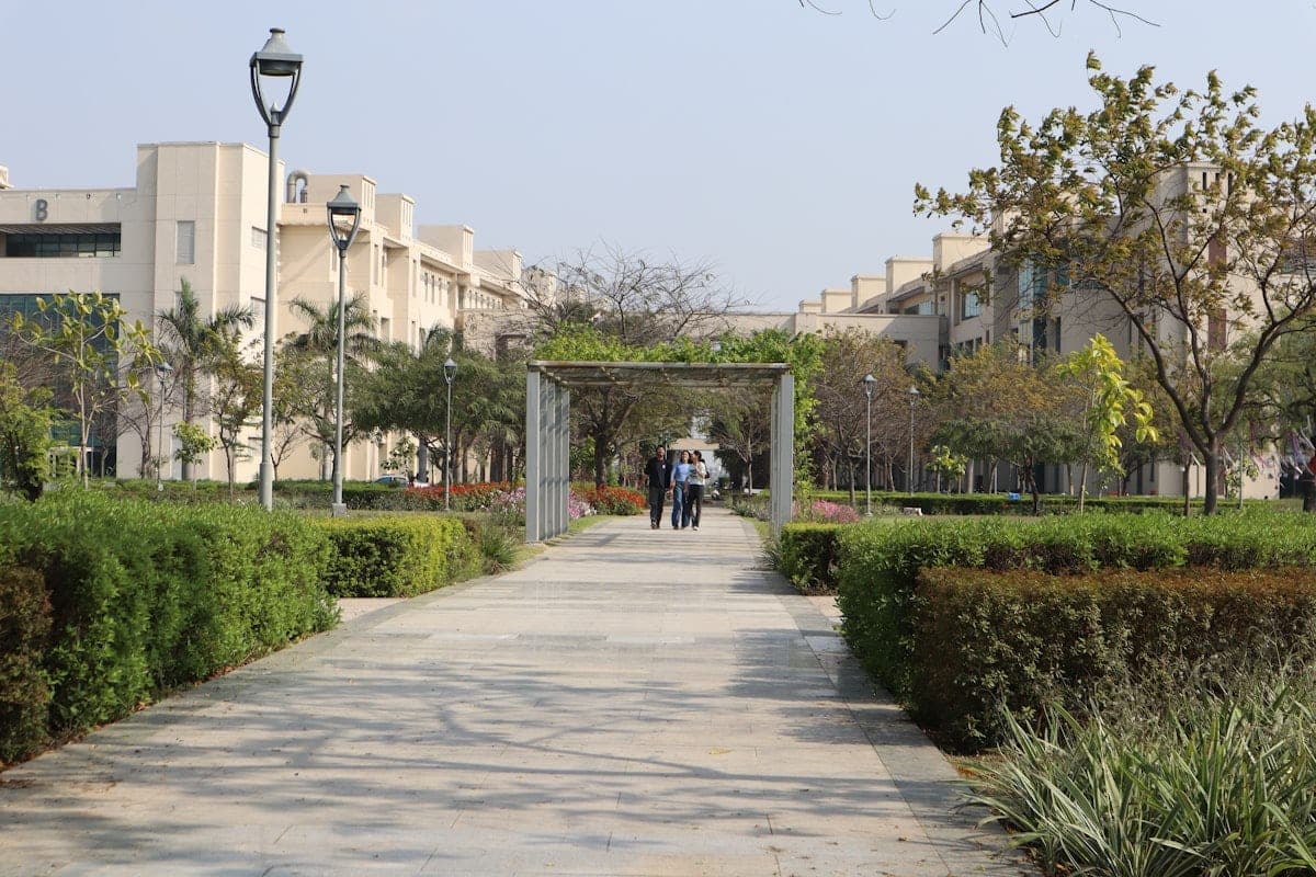 کالج کے احاطے میں پختہ راستہ اور دونوں جانب عمارتیں
